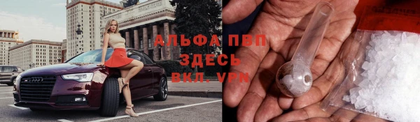 ГАЛЛЮЦИНОГЕННЫЕ ГРИБЫ Аркадак