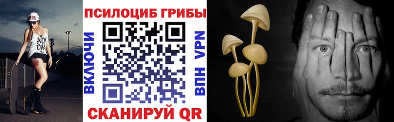 Псилоцибиновые грибы прущие грибы  даркнет сайт  Пугачёв 